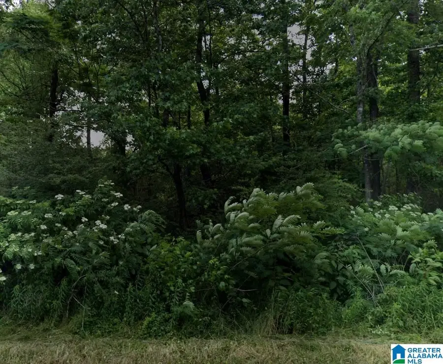 0 RAILROAD DRIVE, Hayden, AL 35180 - #2