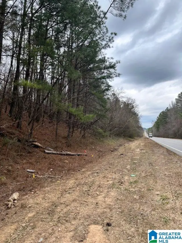 0 HIGHWAY 145, Clanton, AL 35046 - #2