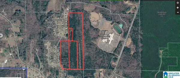 9700 PHARRIS LANE, Warrior, AL 35091