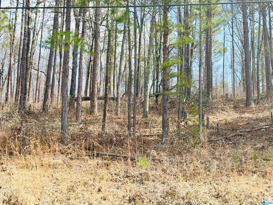 0 SOUTHMOOR CIRCLE, Oxford, AL 36203 - #2