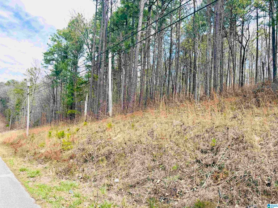 0 SOUTHMOOR CIRCLE, Oxford, AL 36203 - #3