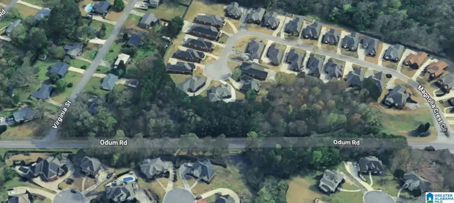 4541 MAGNOLIA RIDGE DRIVE, Gardendale, AL 35071 - #3