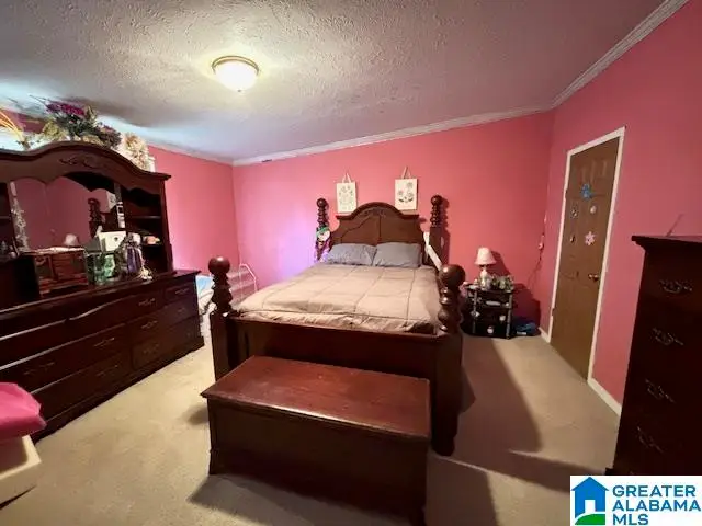 321 FRIENDSHIP ROAD, Springville, AL 35146 - #3