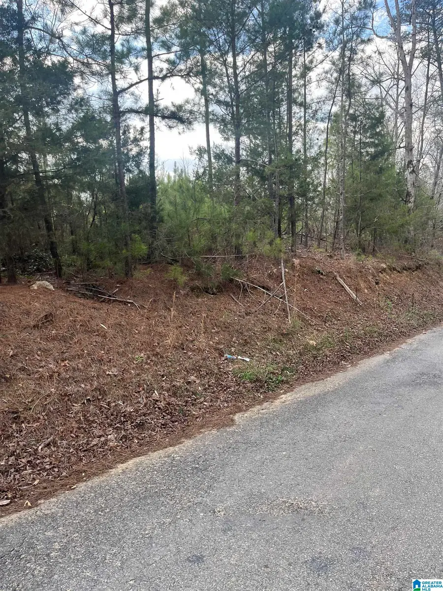 0 OLD WOODSTOCK ROAD, West Blocton, AL 35184 - #2