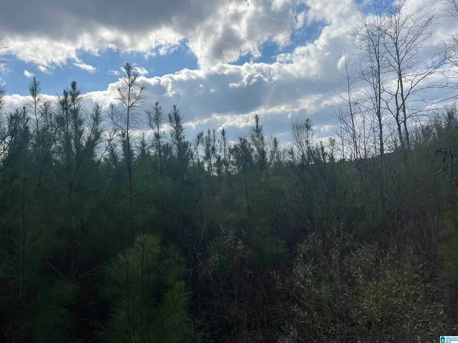 0 OLD WOODSTOCK ROAD, West Blocton, AL 35184 - #3