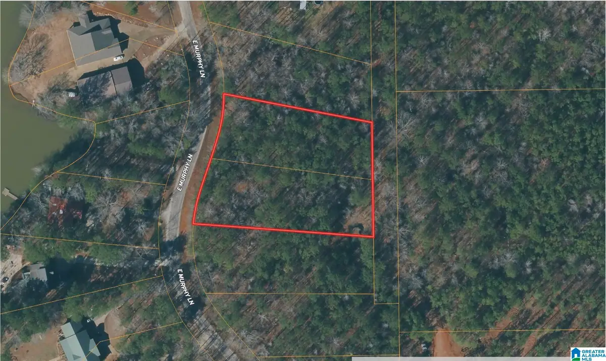 355 E MURPHY DRIVE, Dadeville, AL 36853 - #1