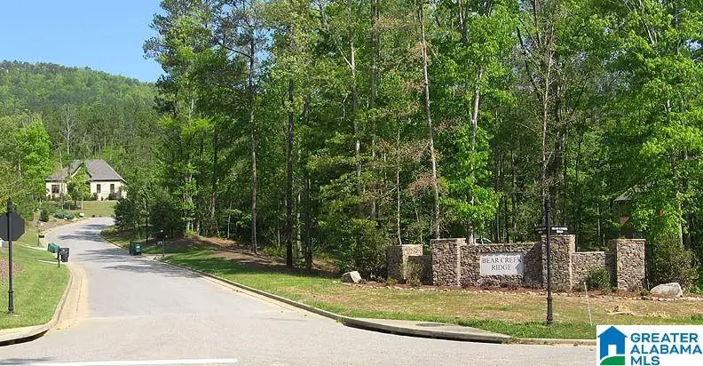 Lot 40 AUTUMN VIEW DRIVE, Chelsea, AL 35147 - #2