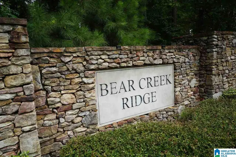 Lot 40 AUTUMN VIEW DRIVE, Chelsea, AL 35147 - #3