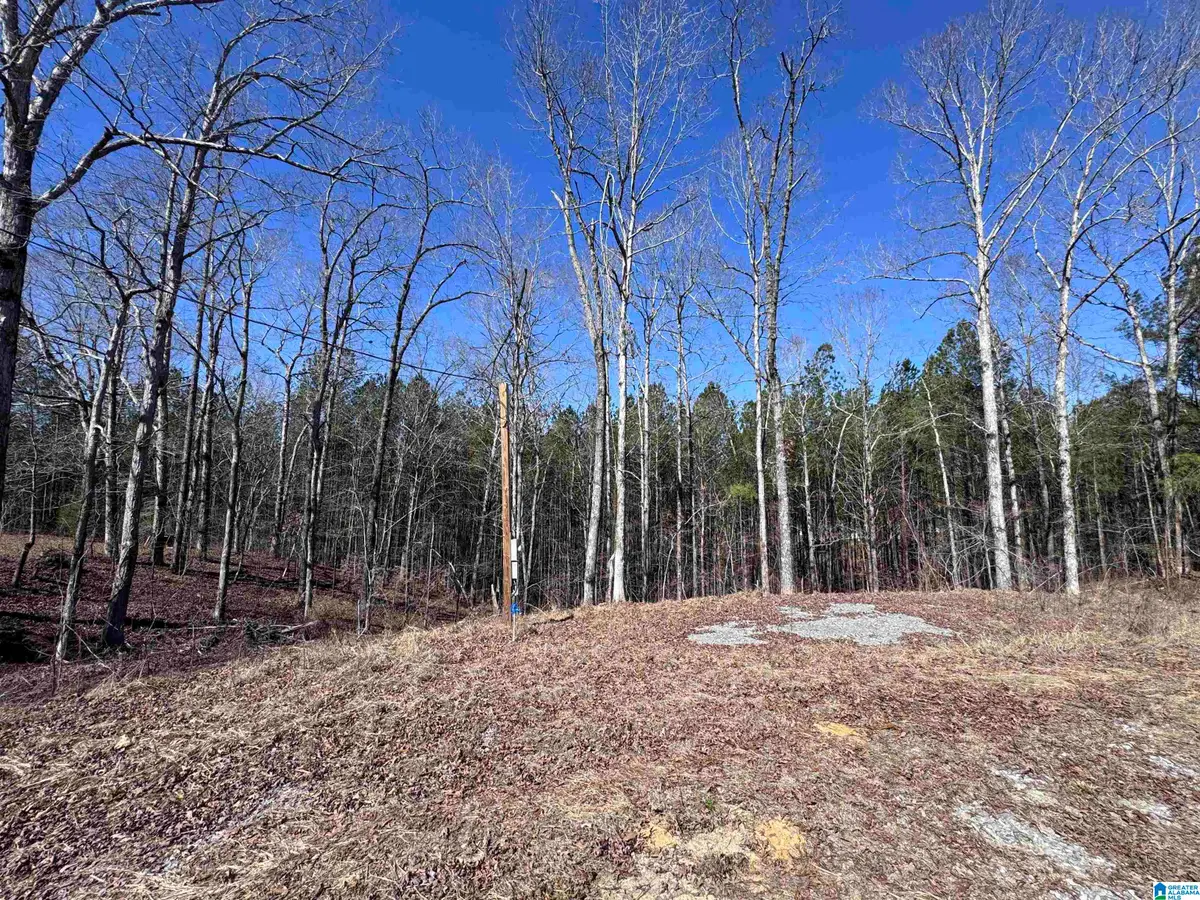 320 WILLOW LANE, Hayden, AL 35079 - #1