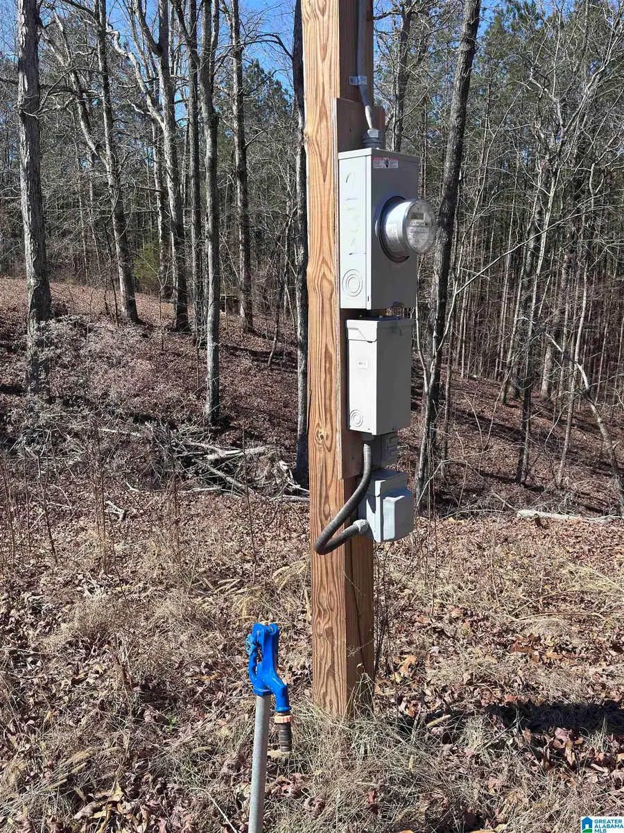 320 WILLOW LANE, Hayden, AL 35079 - #2