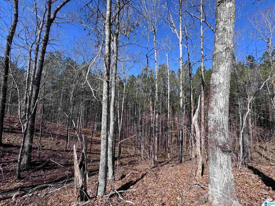 320 WILLOW LANE, Hayden, AL 35079 - #3