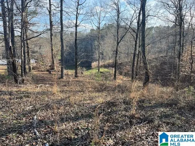 Lot 50 WHISTLER WAY, Clanton, AL 35046 - #2
