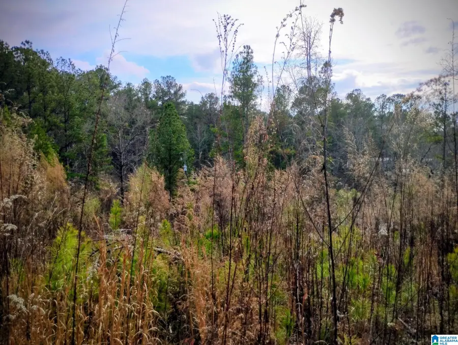 FOSTER CIRCLE, Lineville, AL 36266 - #2