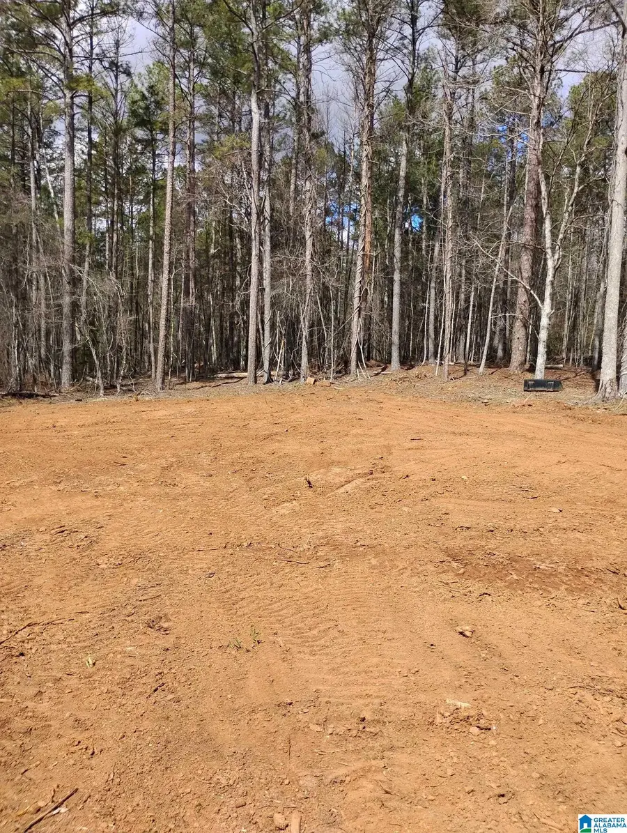 534 FOSTER COVE DRIVE, Lineville, AL 36266 - #3