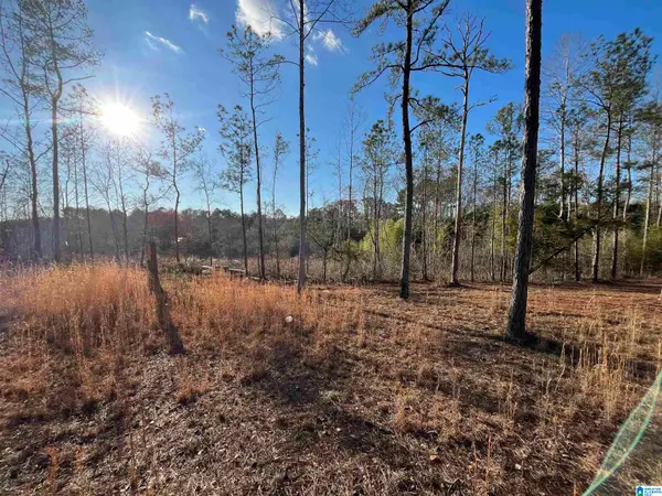 50864 HIGHWAY 22, Wadley, AL 36276