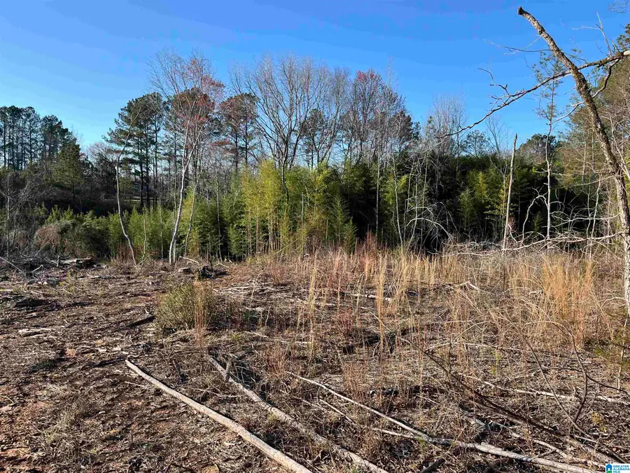 50864 HIGHWAY 22, Wadley, AL 36276 - #3