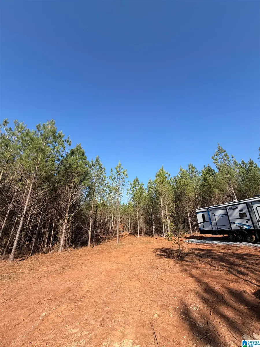 900 VALLEY ROAD, Goodwater, AL 35072 - #2