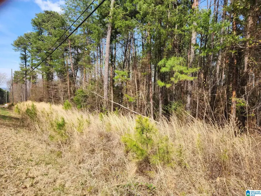 0 RED HILL SCHOOL ROAD, Empire, AL 35063 - #2