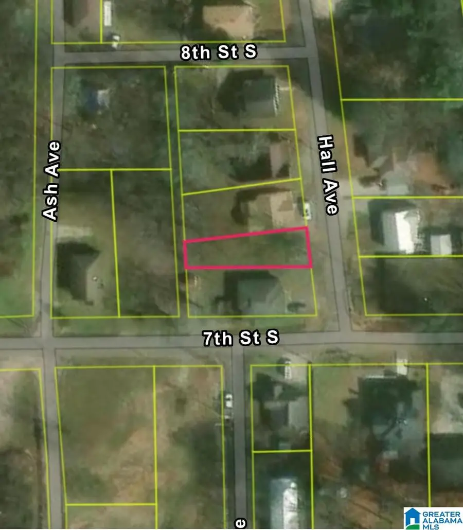 704 HALL AVENUE, Bessemer, AL 35020 - #2