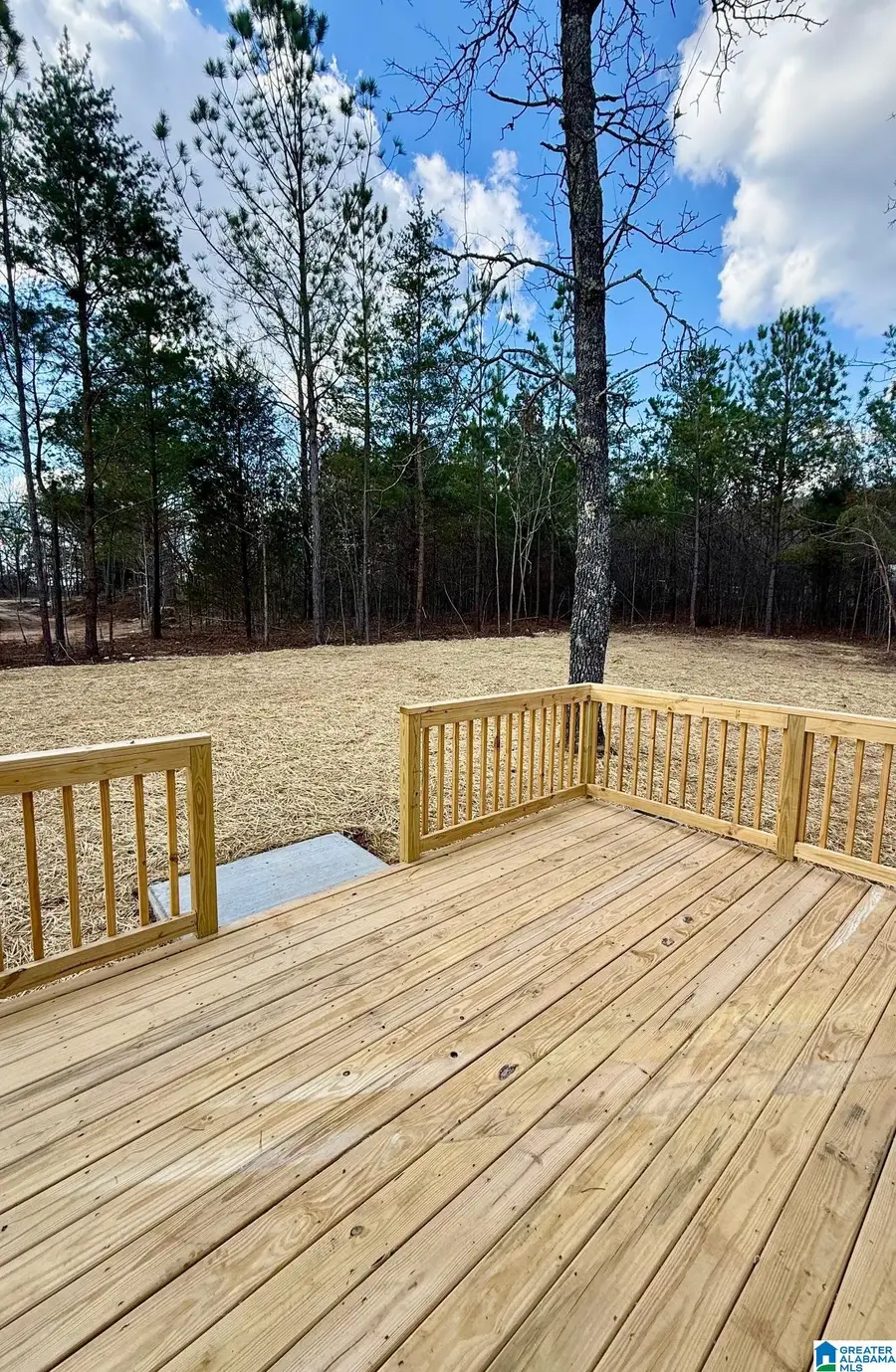 735 WALNUT COVE, Odenville, AL 35120 - #2