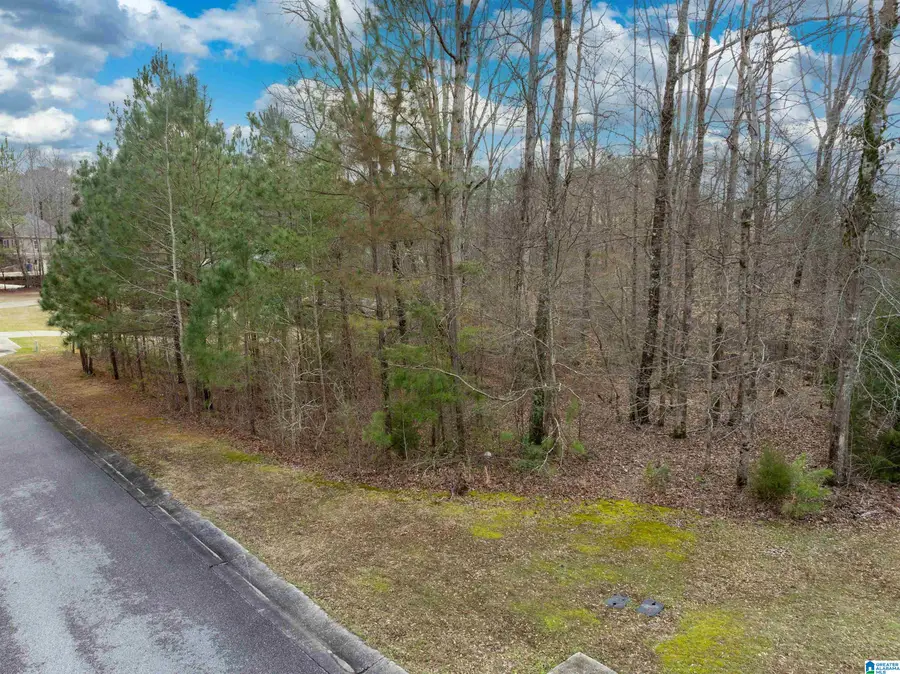 135 GLENSTONE DRIVE, Columbiana, AL 35051 - #2