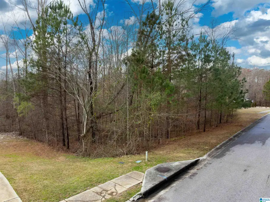 135 GLENSTONE DRIVE, Columbiana, AL 35051 - #3