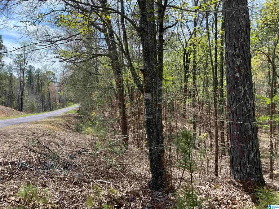 SAINT JUDES LANE, Talladega, AL 35160 - #3