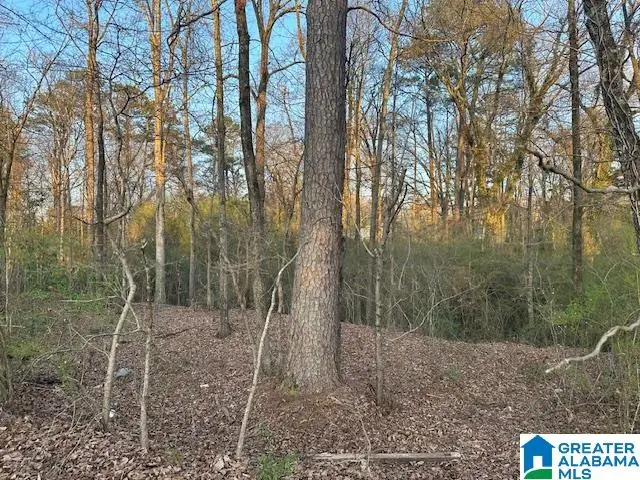 9 AIRPORT ROAD S, Jasper, AL 35501 - #1