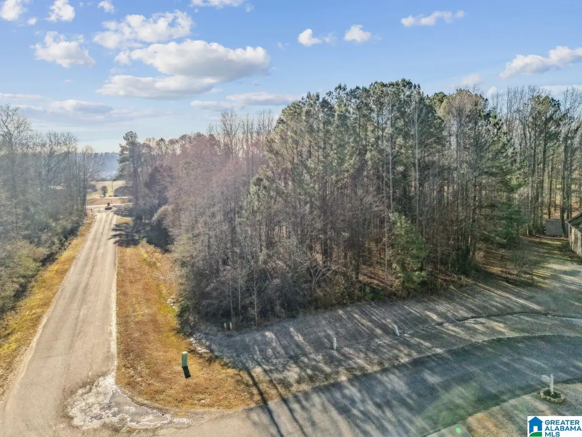 0 BRANCH COVE, Odenville, AL 35120 - #1