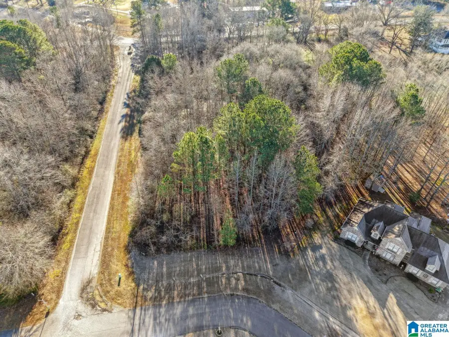 0 BRANCH COVE, Odenville, AL 35120 - #2
