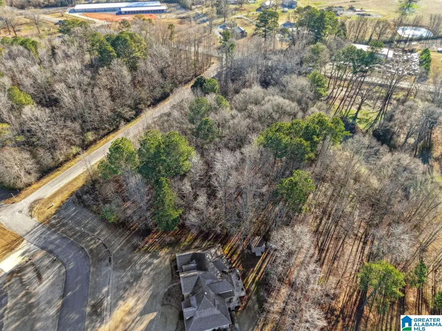 0 BRANCH COVE, Odenville, AL 35120 - #3