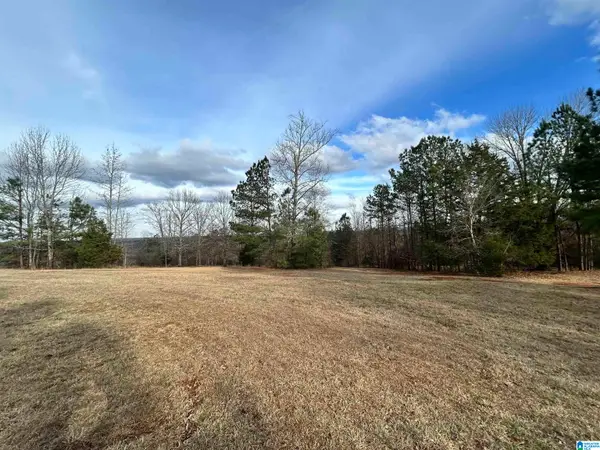 1332 BLACKJACK ROAD, Trussville, AL 35173