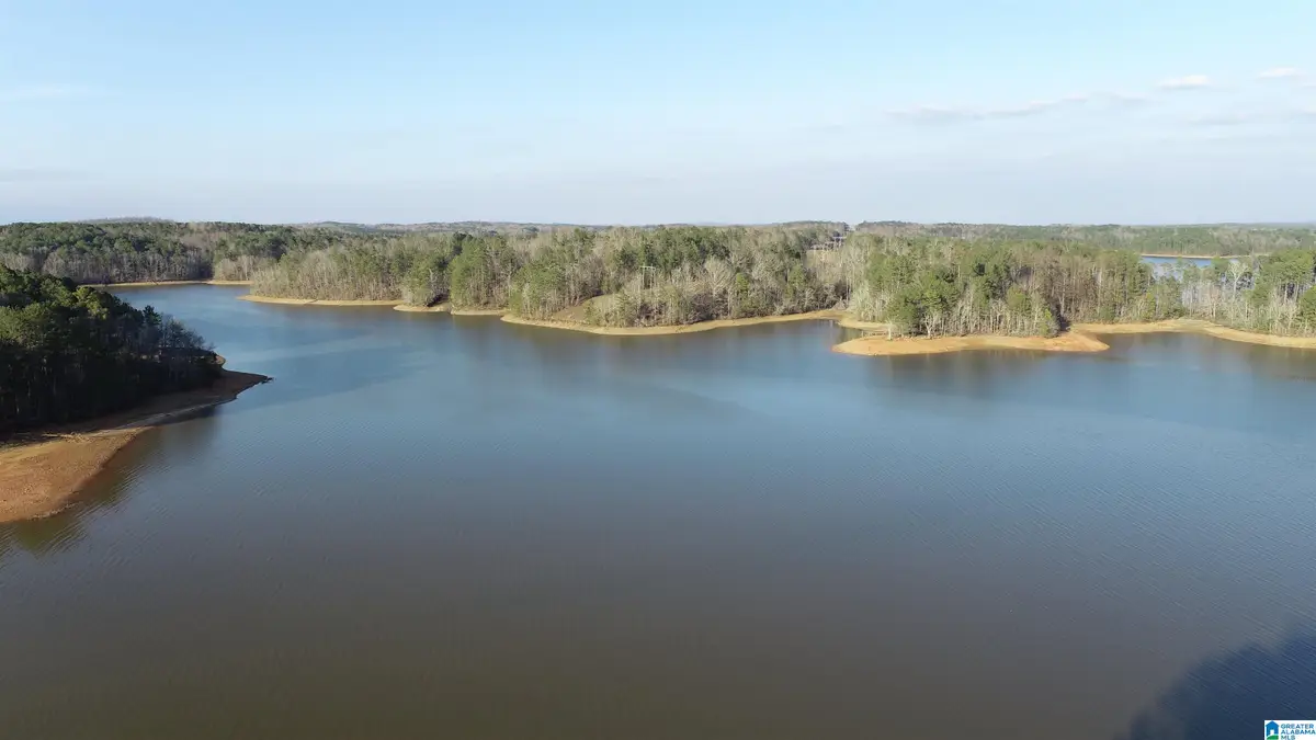 5A FOX CREEK TRACE, Lineville, AL 36266 - #1