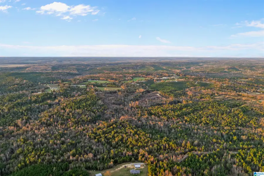 COUNTY ROAD 328, Maplesville, AL 36006 - #2