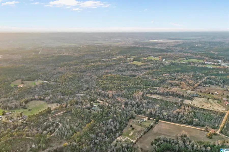 COUNTY ROAD 328, Maplesville, AL 36006 - #3