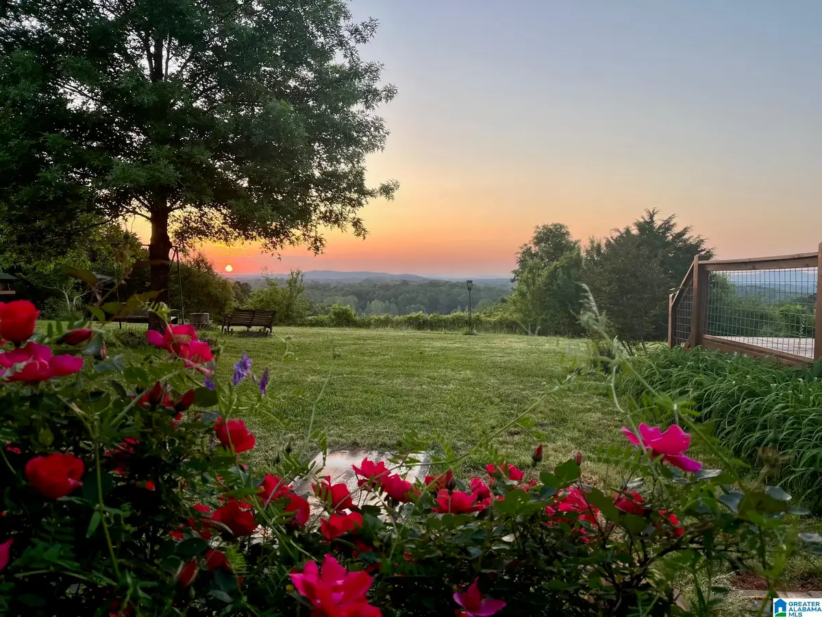 3953 LOGAN MARTIN DAM ROAD E, Cropwell, AL 35054 - #1