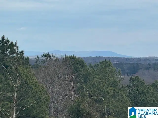 3953 LOGAN MARTIN DAM ROAD E, Cropwell, AL 35054 - #2