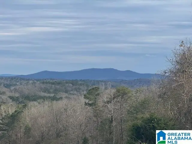 3953 LOGAN MARTIN DAM ROAD E, Cropwell, AL 35054 - #3