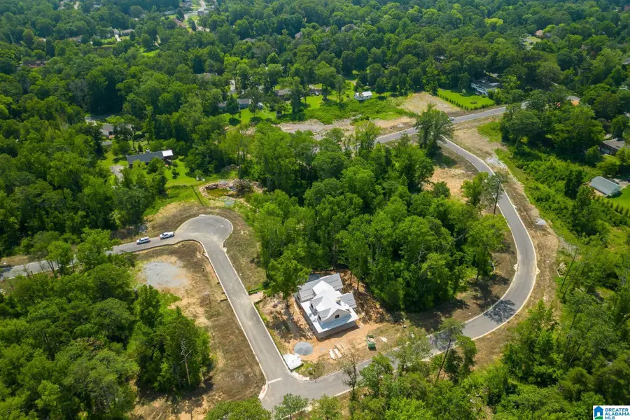 3421 SMITH FARM DRIVE, Hoover, AL 35226 - #3