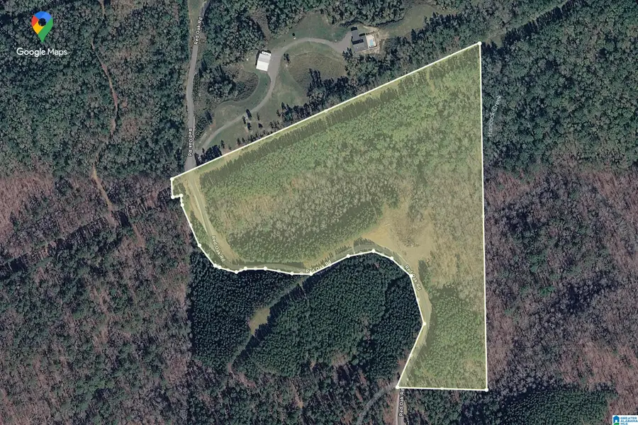 1321 RED OAK ROAD, Helena, AL 35080 - #2