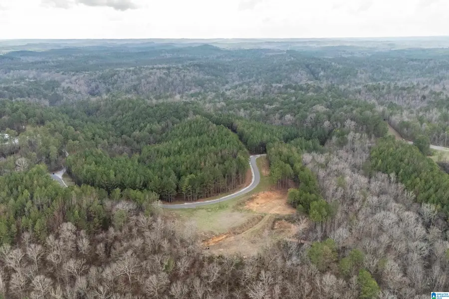 1321 RED OAK ROAD, Helena, AL 35080 - #3