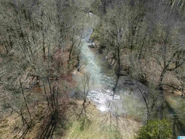 10 Acres COUNTY ROAD 1021, Piedmont, AL 36272