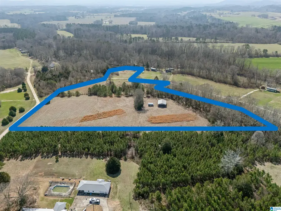 10 Acres COUNTY ROAD 1021, Piedmont, AL 36272 - #2