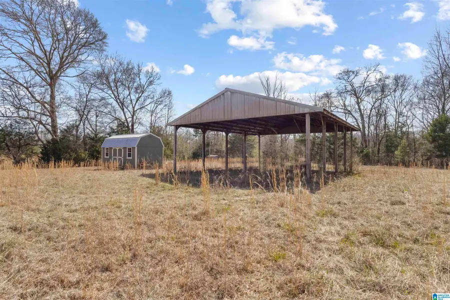 10 Acres COUNTY ROAD 1021, Piedmont, AL 36272 - #3