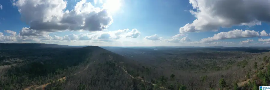 3717 SPRINGSTONE TRAIL, Leeds, AL 35094 - #2