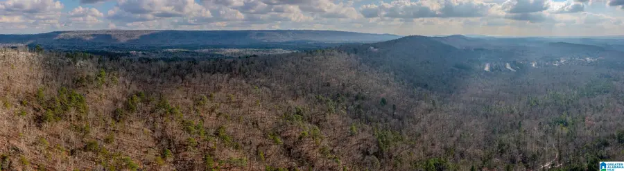 3717 SPRINGSTONE TRAIL, Leeds, AL 35094 - #3