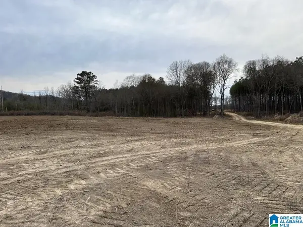 3712 BEASLEY ROAD, Hokes bluff, AL 35903