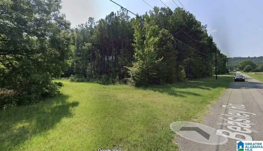 3712 BEASLEY ROAD, Hokes Bluff, AL 35903 - #3