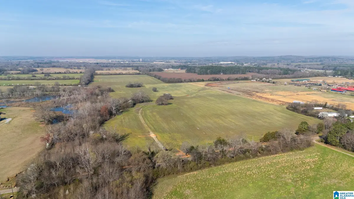 0 CURRY STATION ROAD, Eastaboga, AL 36260 - #1