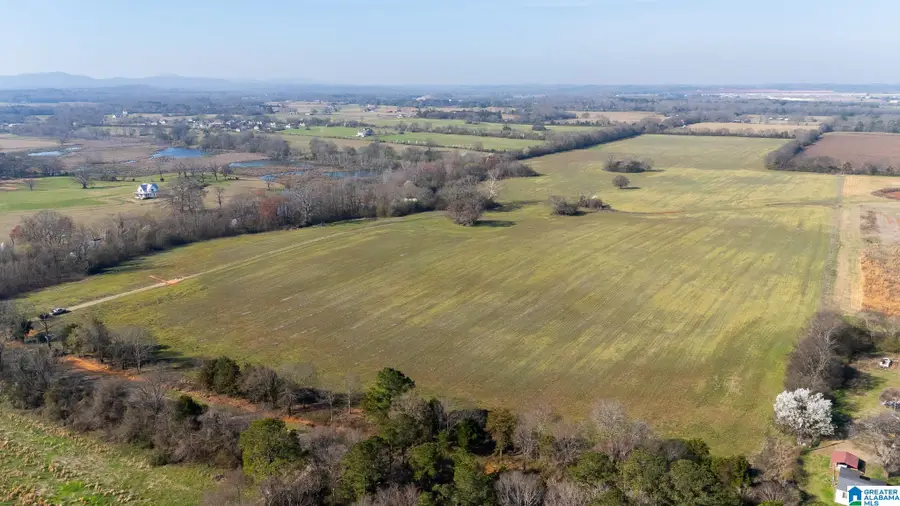 0 CURRY STATION ROAD, Eastaboga, AL 36260 - #2